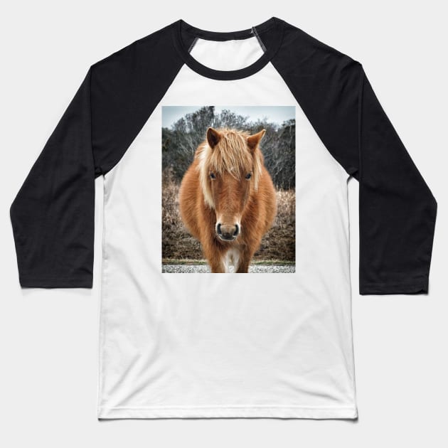 Assateague Island Horse Mieke’s Noe’lani Baseball T-Shirt by Swartwout